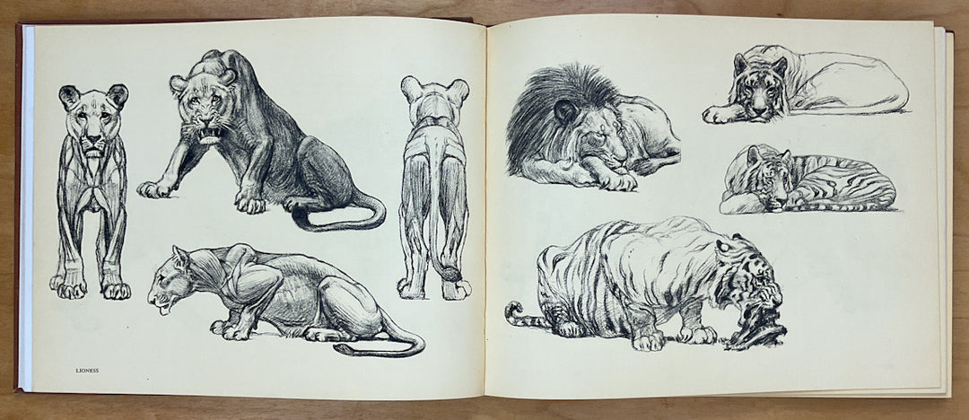 Animal Anatomy & Psychology for the Artist and Layman