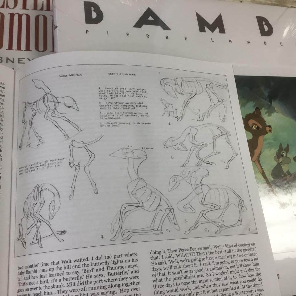 Bambi - with Our Exclusive English Translation Booklet