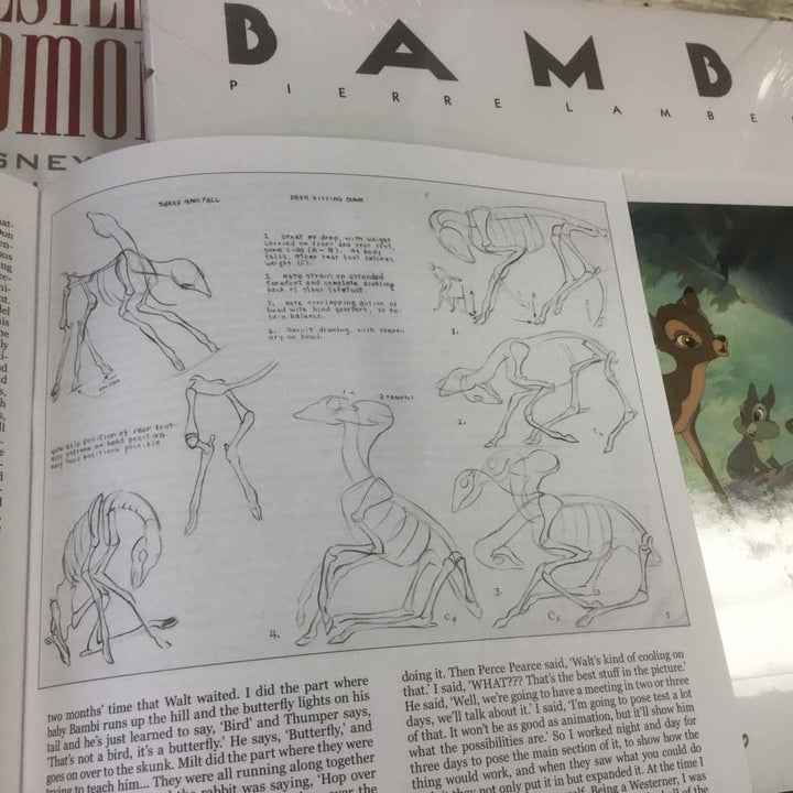 Bambi - with Our Exclusive English Translation Booklet