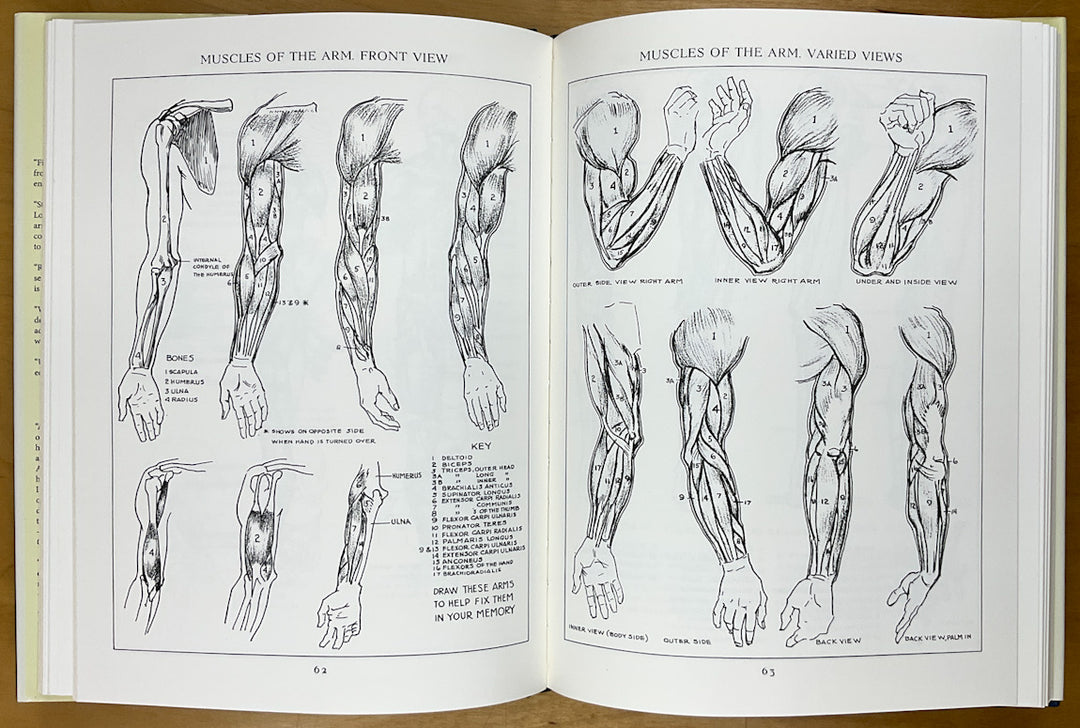Figure Drawing for All It's Worth