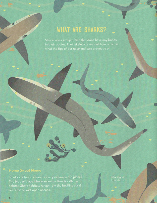 Smart About Sharks