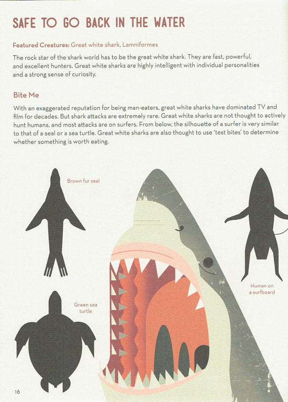 Smart About Sharks