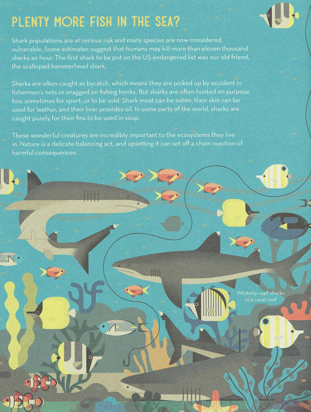 Smart About Sharks