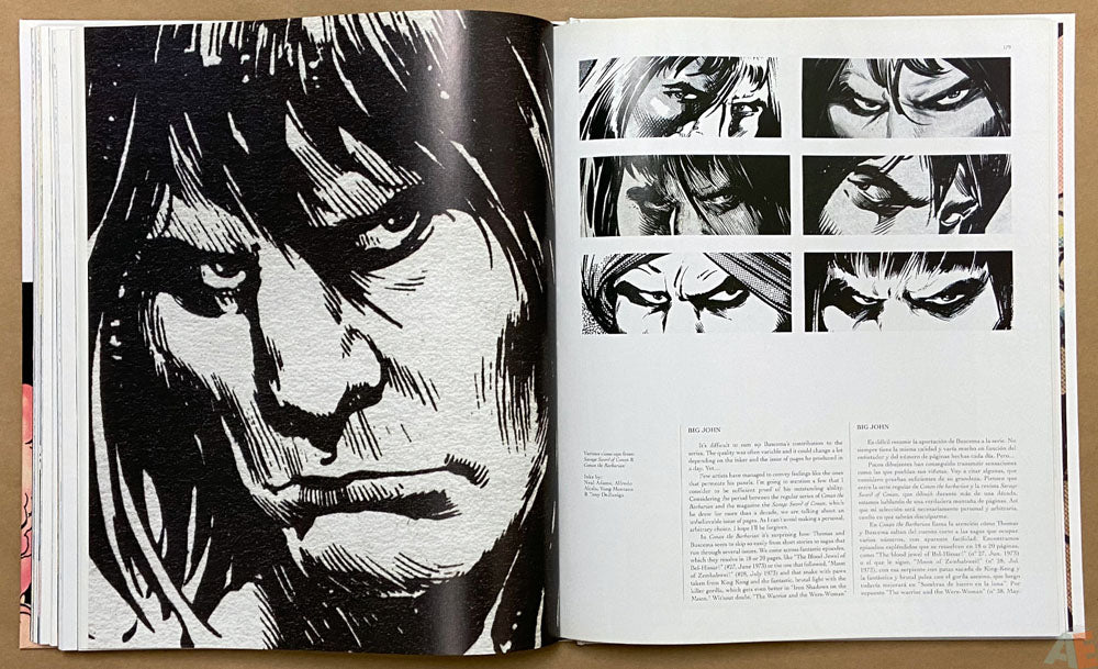 Big John Buscema: Comics & Drawings