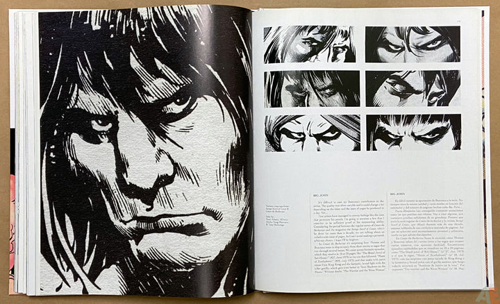 Big John Buscema: Comics & Drawings