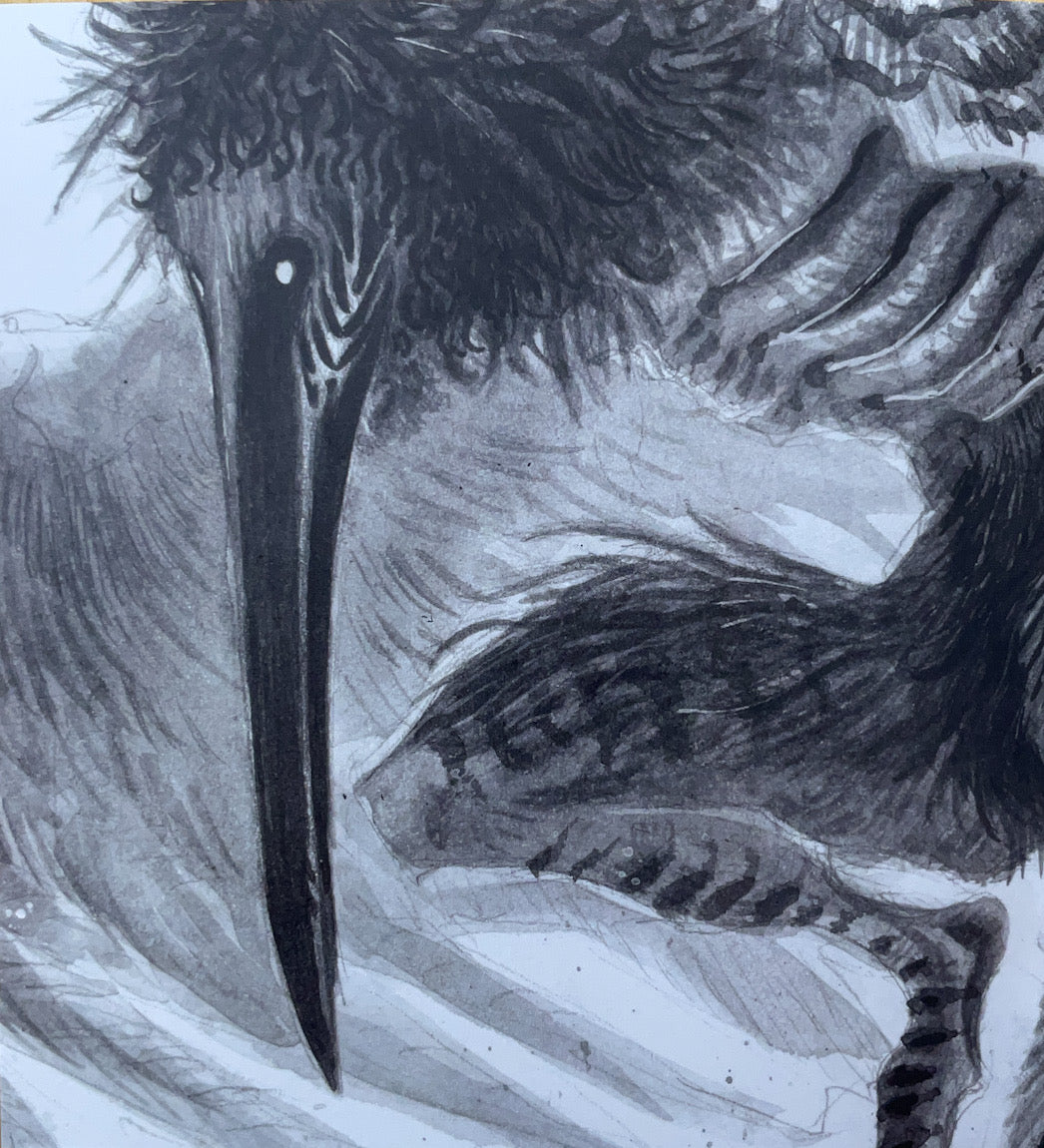 Corvus - Signed Art Book