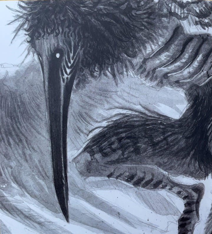 Corvus - Signed Art Book