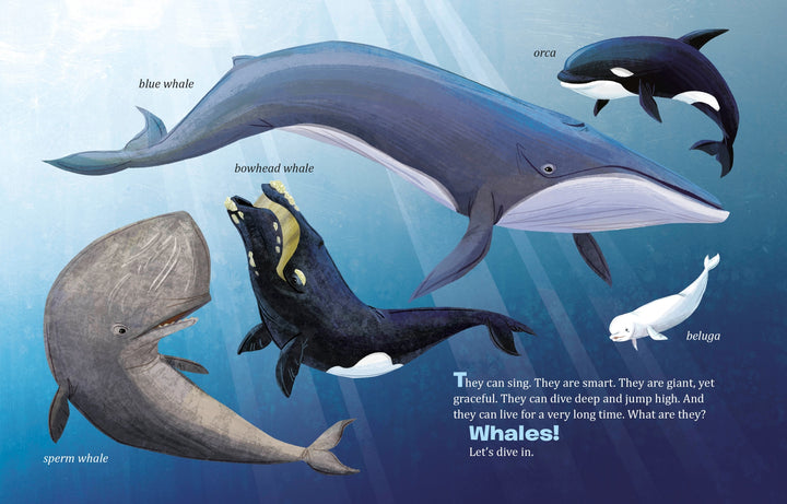 My Little Golden Book About Whales