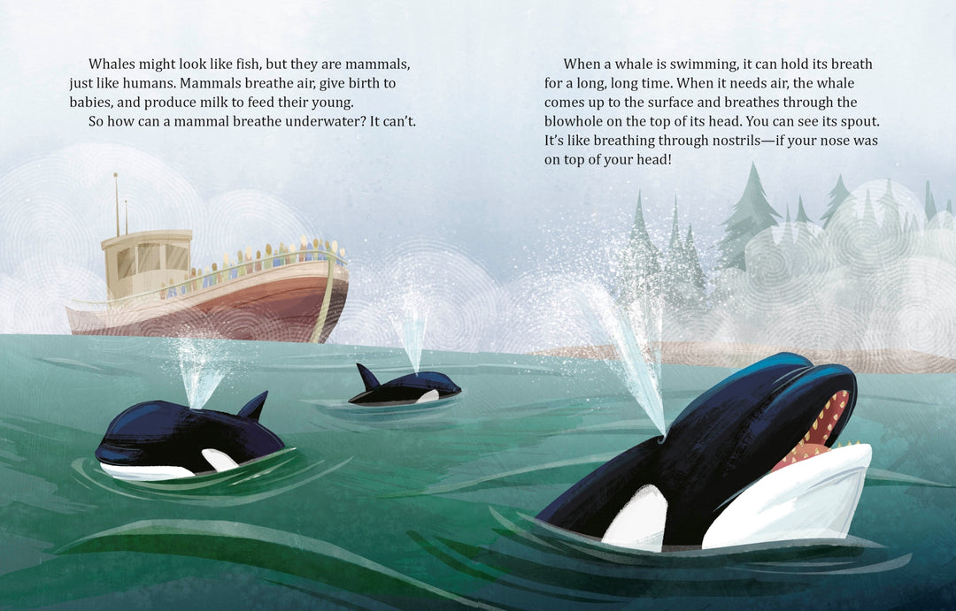 My Little Golden Book About Whales