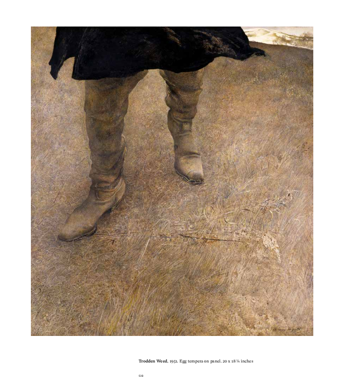 Andrew Wyeth at Kuerner Farm: The Eye of the Earth