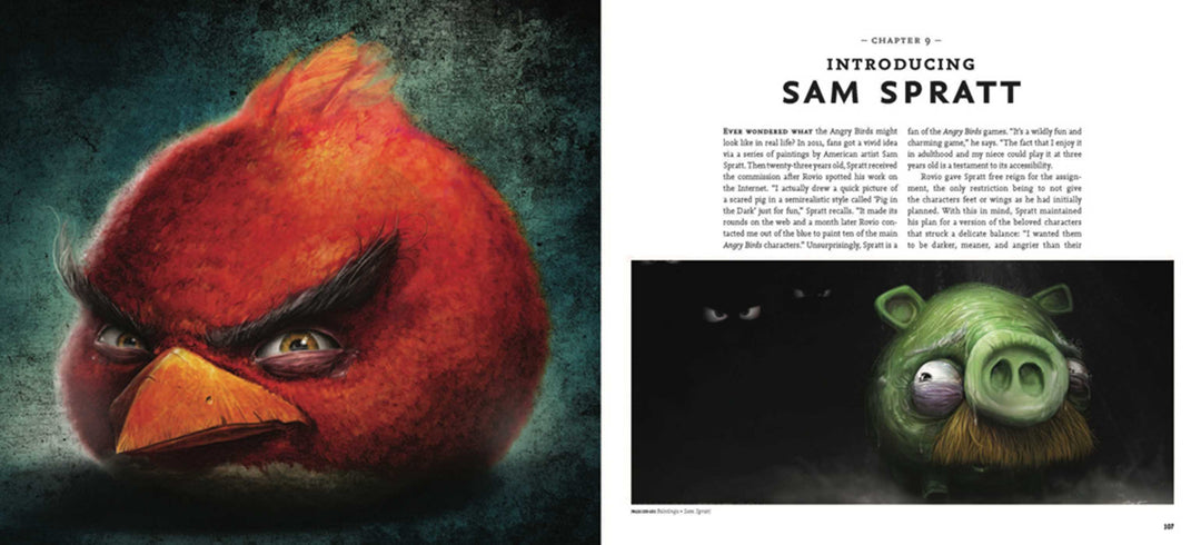 Angry Birds: Hatching a Universe