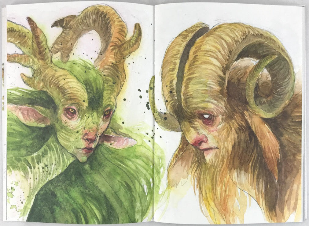 Secrets of the Faultlines and Beyond - Signed with an Original Sketch