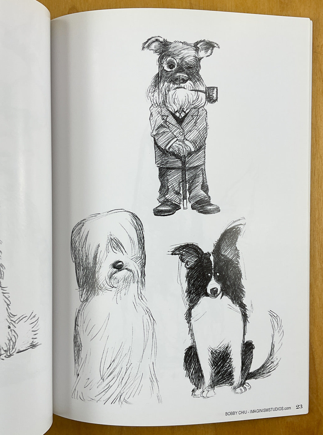Imaginism Studios: Cats & Dogs Sketches