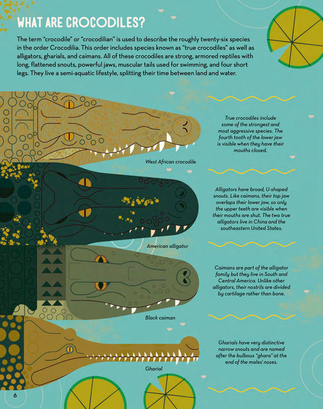 Curious About Crocodiles