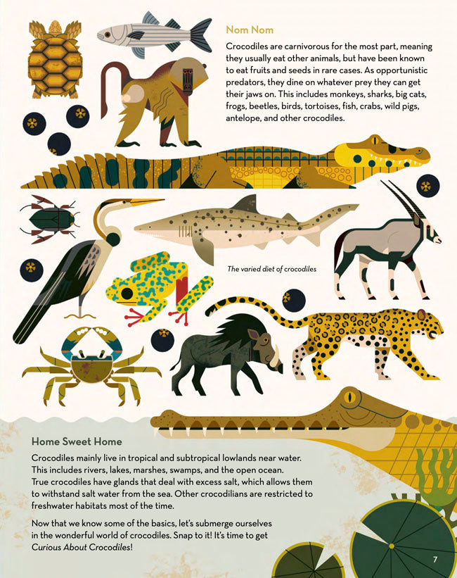 Curious About Crocodiles