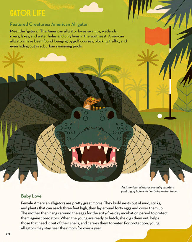 Curious About Crocodiles
