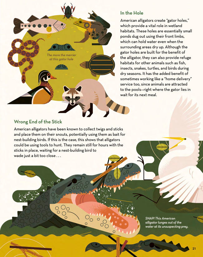 Curious About Crocodiles