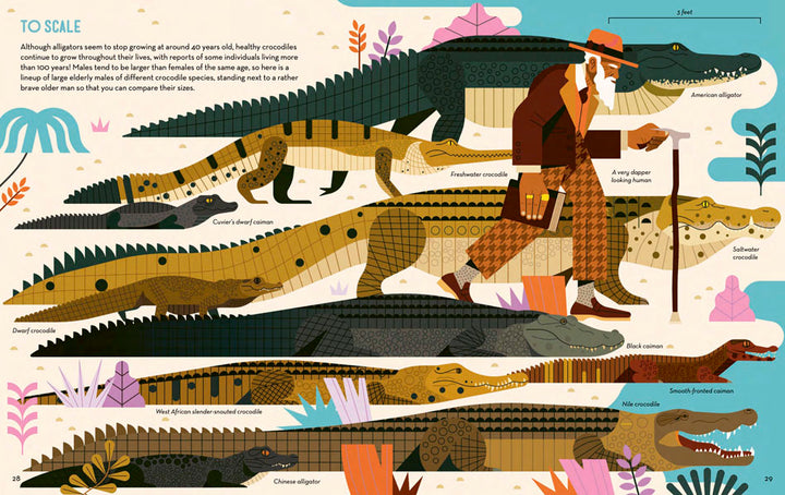 Curious About Crocodiles