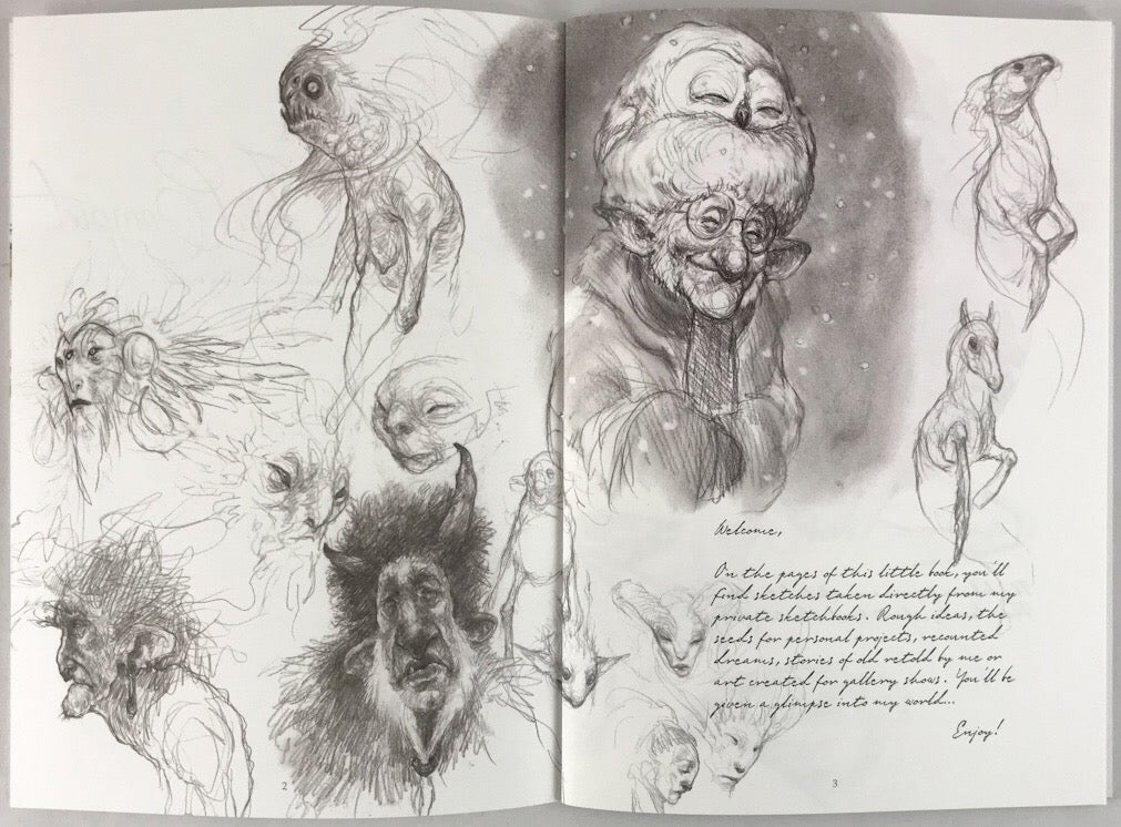 Secrets of the Faultlines and Beyond - Signed with an Original Sketch