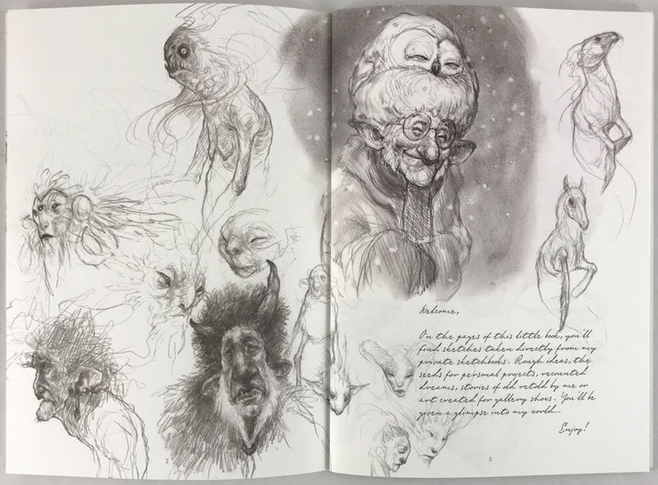 Secrets of the Faultlines and Beyond - Signed with an Original Sketch