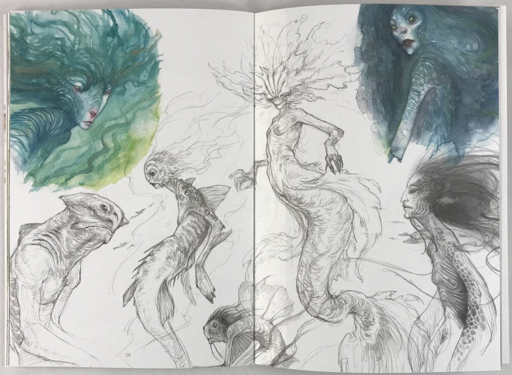 Secrets of the Faultlines and Beyond - Signed with an Original Sketch