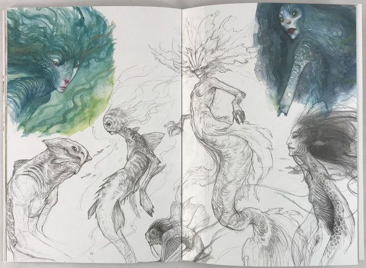 Secrets of the Faultlines and Beyond - Signed with an Original Sketch