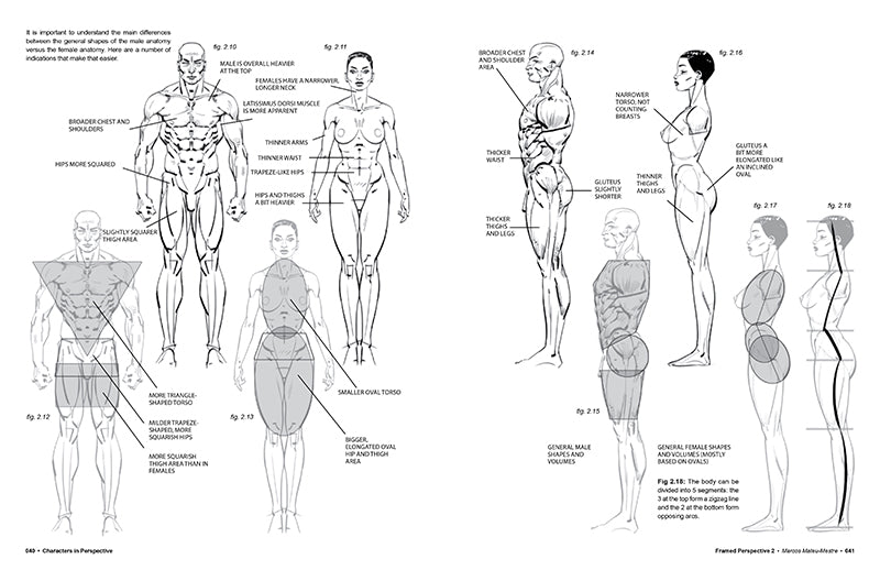 Framed Perspective, Vol. 2: Technical Drawing for Shadows, Volume, and Characters - Signed by the artist