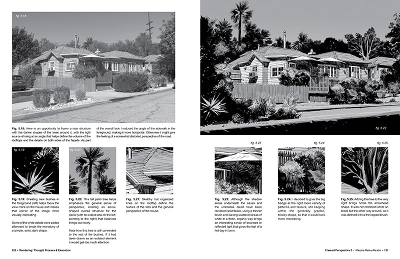 Framed Perspective, Vol. 2: Technical Drawing for Shadows, Volume, and Characters - Signed by the artist