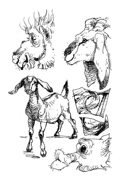 Rawr! Cuatro: Sketches by Katy Hargrove