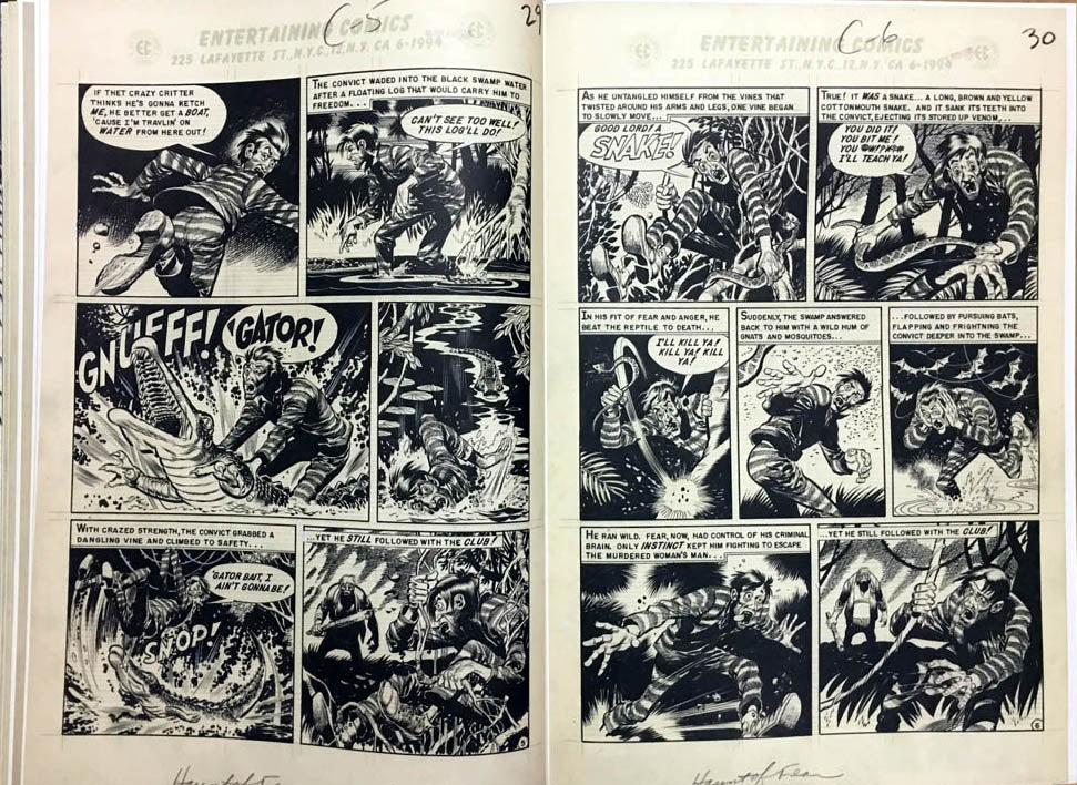 Jack Davis' EC Stories Artist's Edition