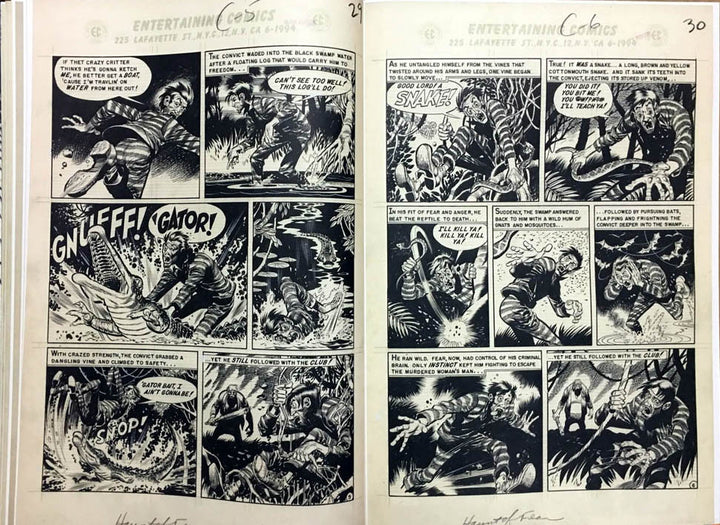Jack Davis' EC Stories Artist's Edition