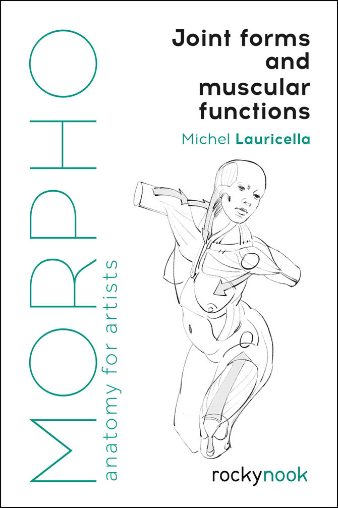 Morpho: Joint Forms and Muscular Functions: Anatomy for Artists