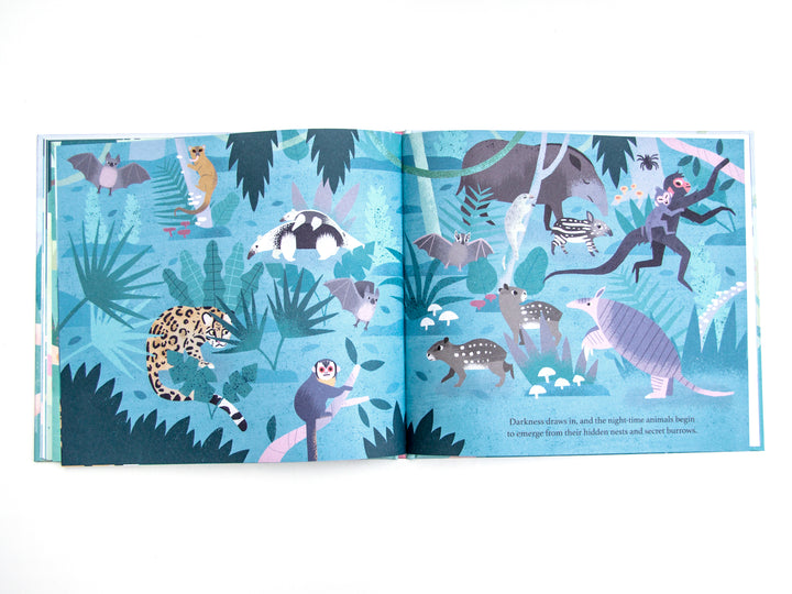 One Day on our Blue Planet: In the Rainforest