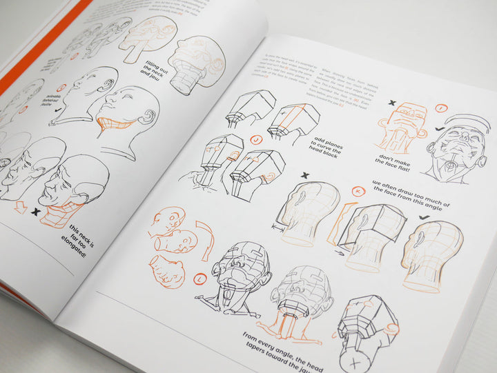 Anatomy for Artists: Drawing Form & Pose