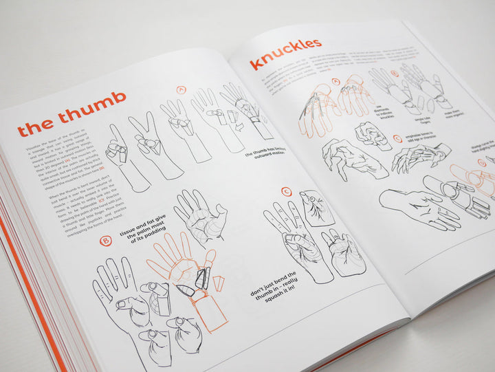 Anatomy for Artists: Drawing Form & Pose