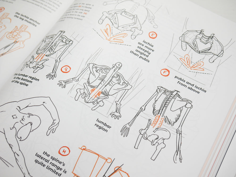 Anatomy for Artists: Drawing Form & Pose