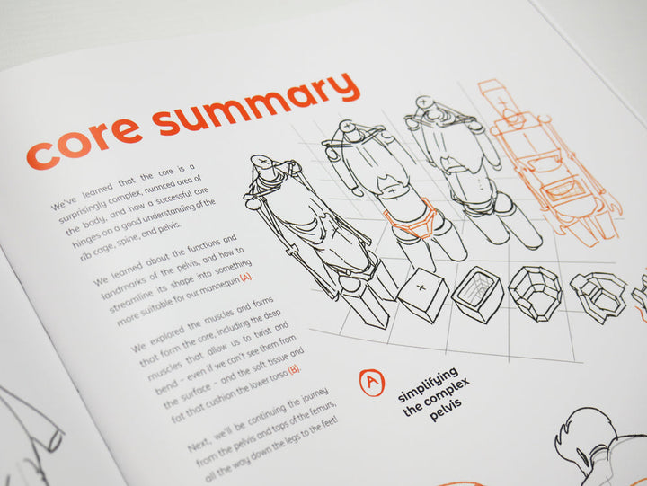 Anatomy for Artists: Drawing Form & Pose