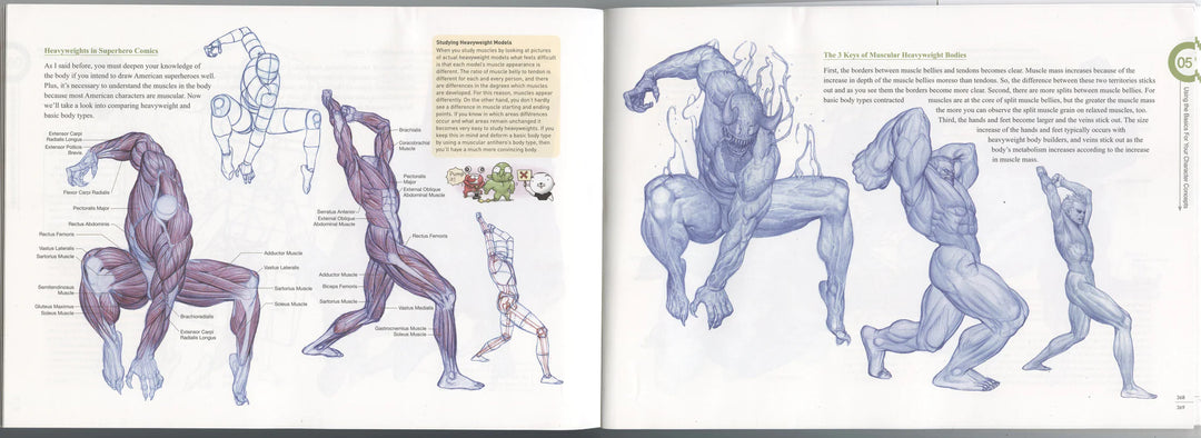 Rockhe Kim's Anatomy Drawing Class - in English
