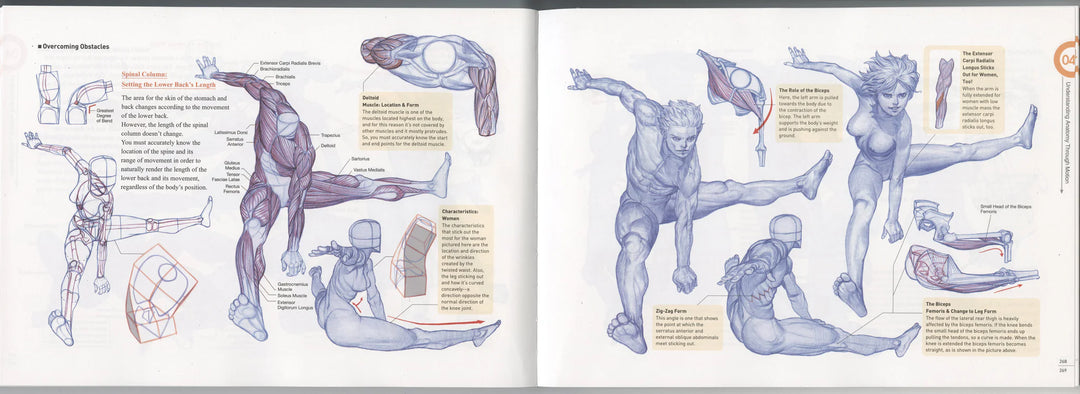 Rockhe Kim's Anatomy Drawing Class - in English