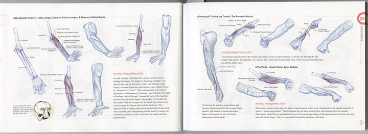 Rockhe Kim's Anatomy Drawing Class - in English