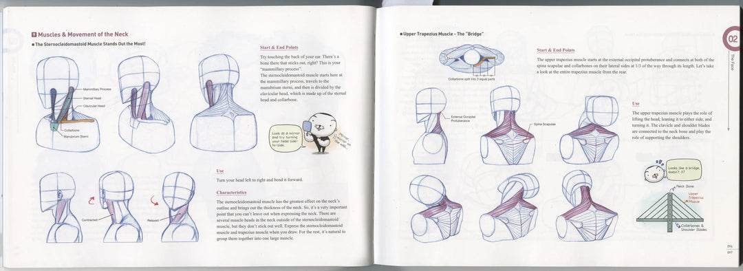 Rockhe Kim's Anatomy Drawing Class - in English