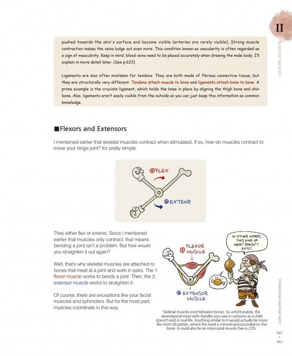 Stonehouse's Anatomy (Stonehouse Anatomy Note) in English - Signed