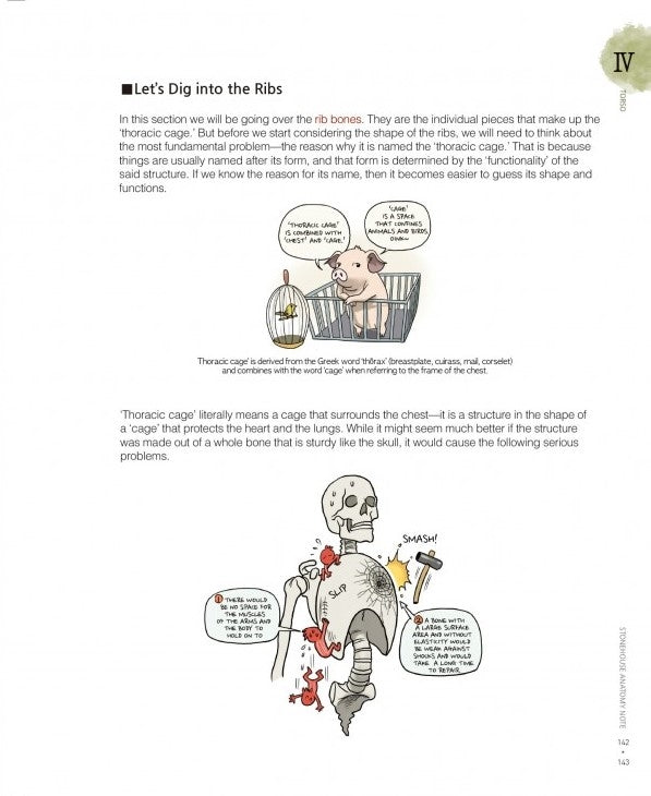 Stonehouse's Anatomy (Stonehouse Anatomy Note) in English - Signed