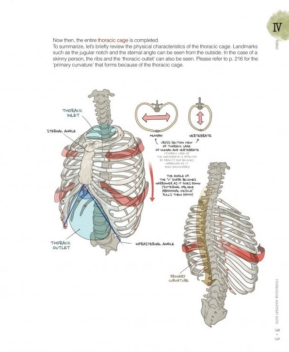 Stonehouse's Anatomy (Stonehouse Anatomy Note) in English - Signed
