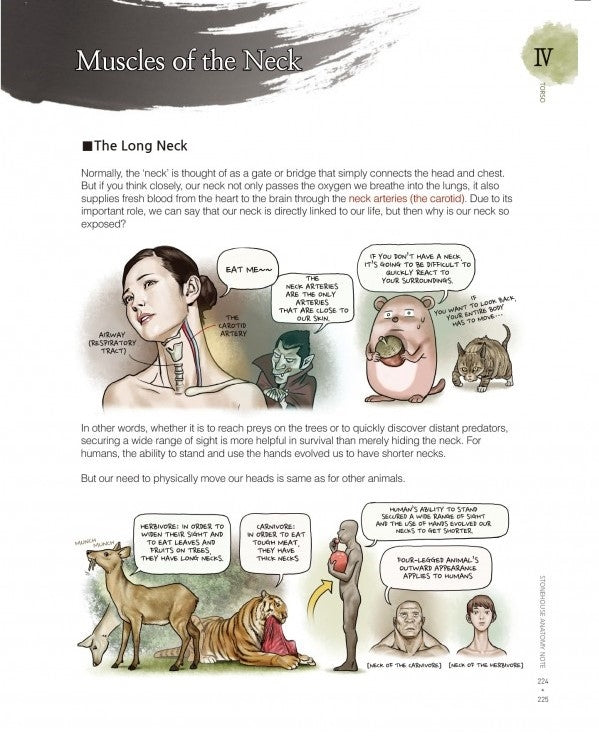 Stonehouse's Anatomy (Stonehouse Anatomy Note) in English - Signed