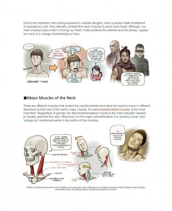 Stonehouse's Anatomy (Stonehouse Anatomy Note) in English - Signed