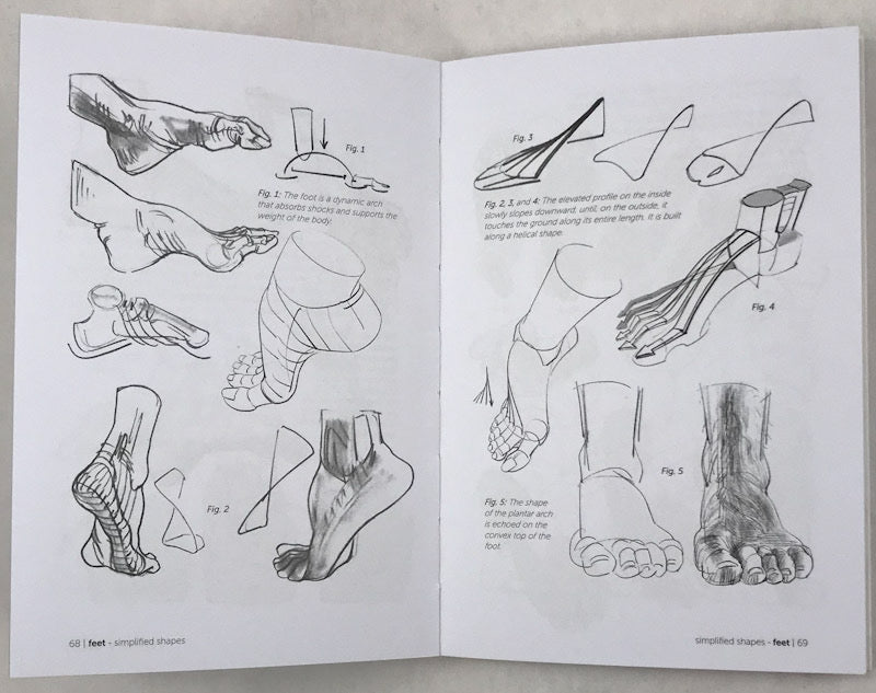 Morpho: Hands and Feet: Anatomy for Artists