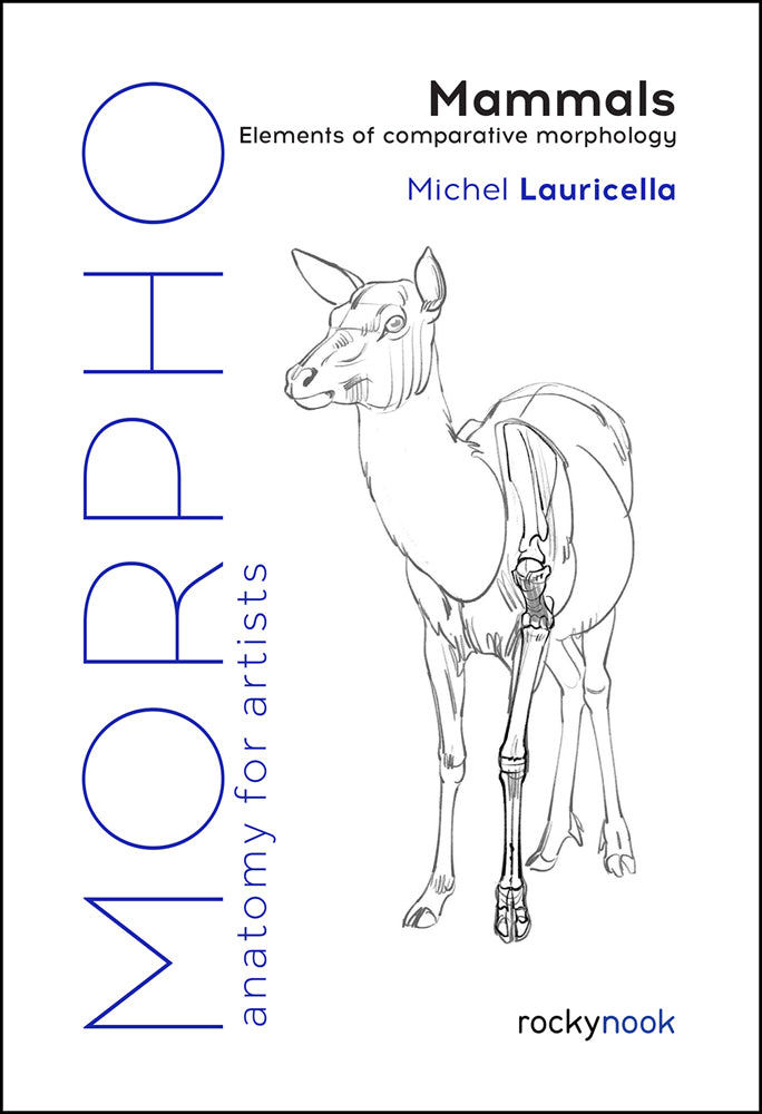 Morpho: Mammals: Elements of Comparative Morphology – Stuart Ng Books