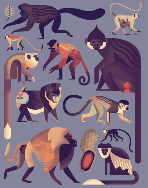 Mad About Monkeys