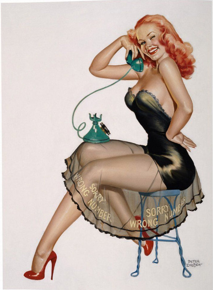 The Art of Pin-Up - Boxed Edition